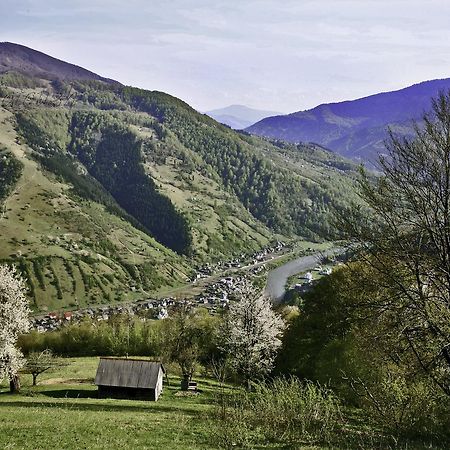 Dream Hostel Carpathians Rakhiv Εξωτερικό φωτογραφία