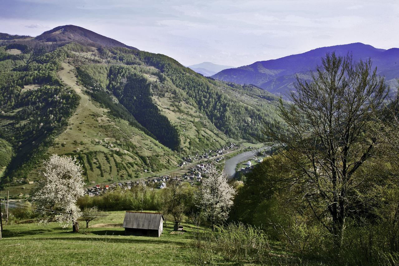 Dream Hostel Carpathians Rakhiv Εξωτερικό φωτογραφία
